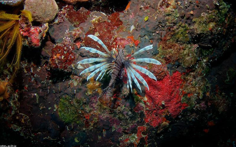 Avion à l'aéroport de Cancún
